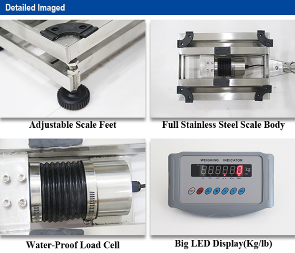 Digital-Platform-Scale