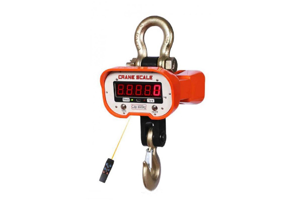 Direct Viewing Electronic Crane Scale